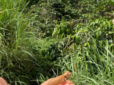 Dzień 13 - Przylot do Polski